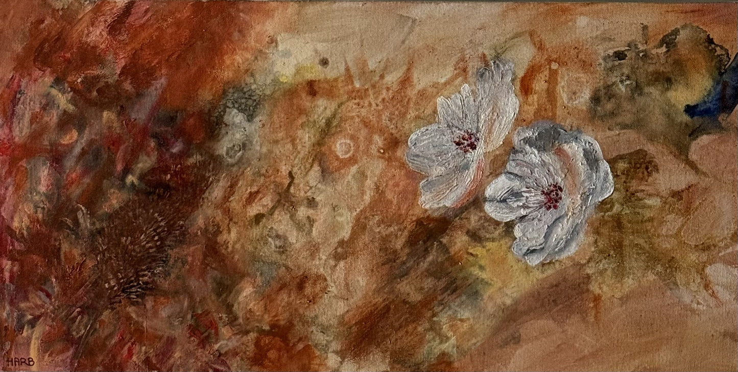 Bloom
