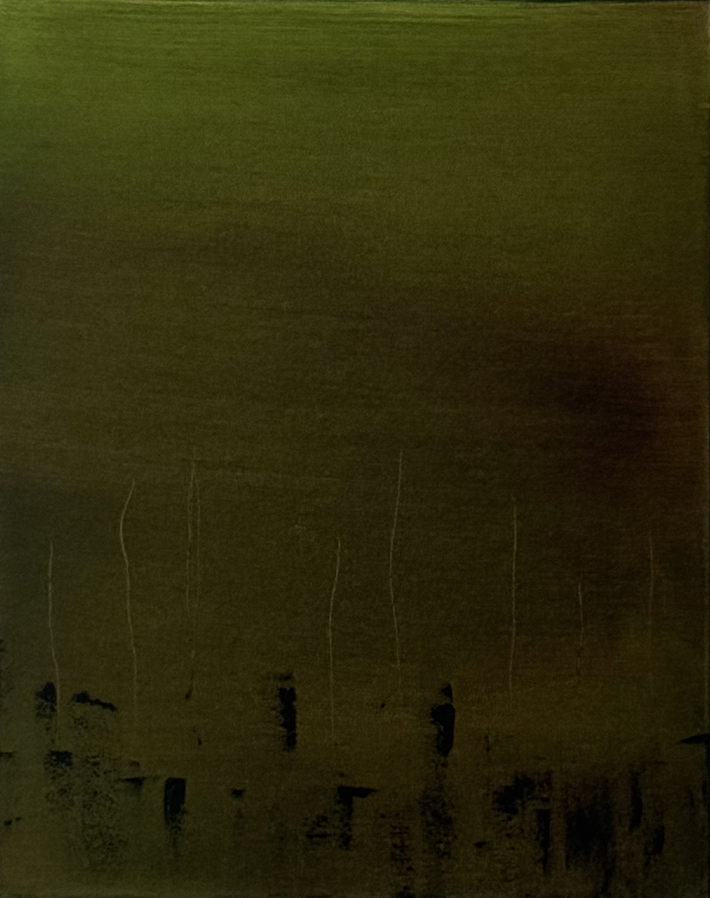Dispossessed